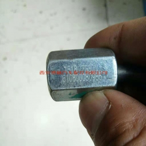 96785323558464368 610800080985潍柴WP7发动机泵到轨高压油管总成