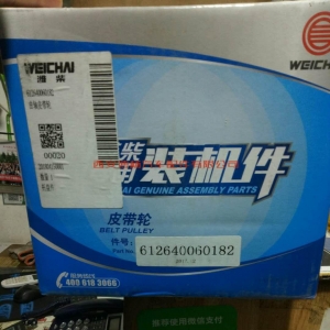 215865776041228086 612600062088潍柴WP12天然气发动机水管接头