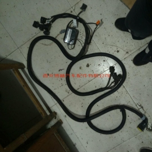 5c05e879e215cc9f3f0ce860c9a703a 612600191052潍柴WP10/12ECU连接线束总成