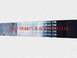 13051574-1 1001044852潍柴WP10H/WP6发动机皮带8PK1555