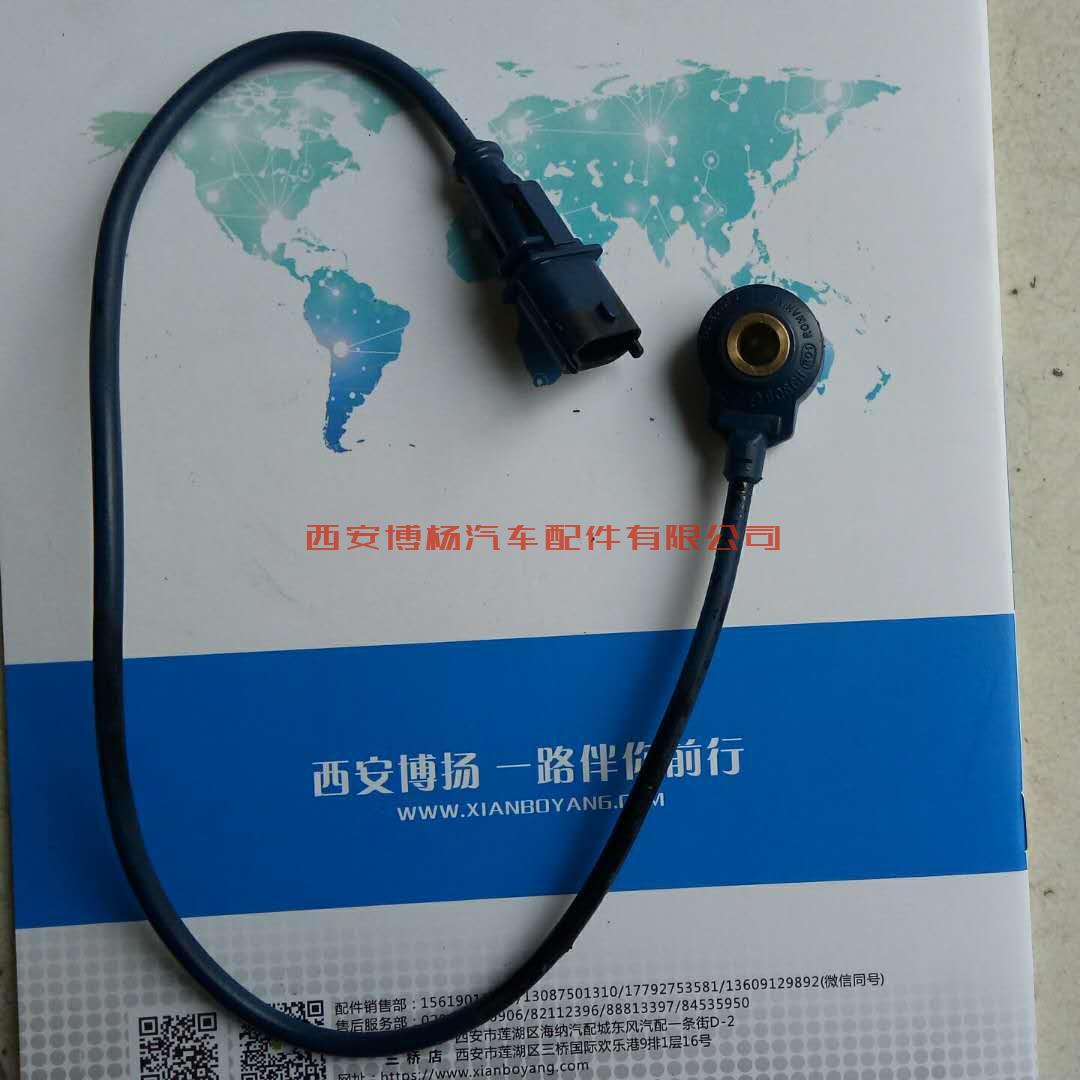 0261231218/VG1238090005爆震传感器