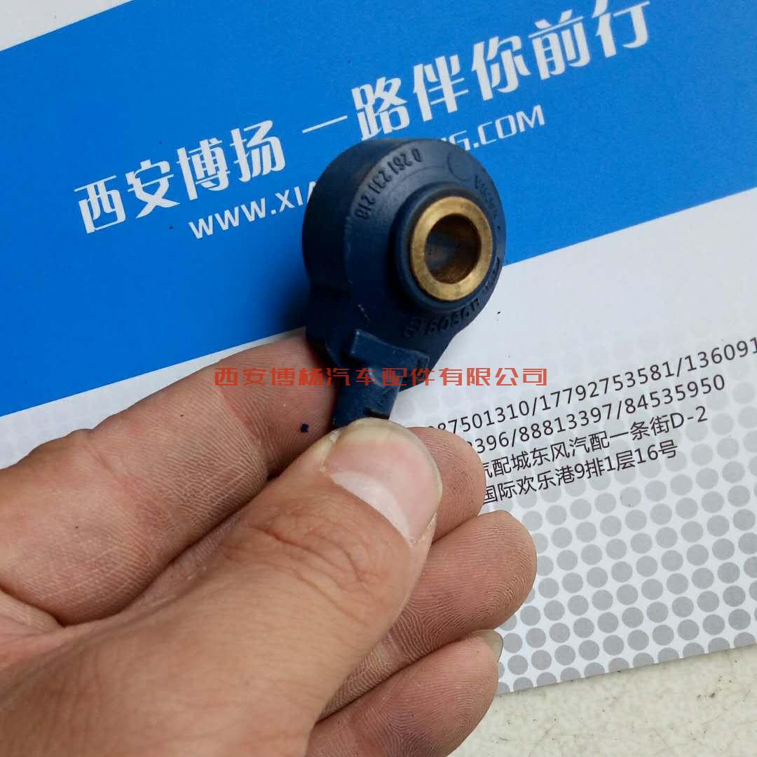 0261231218/VG1238090005爆震传感器