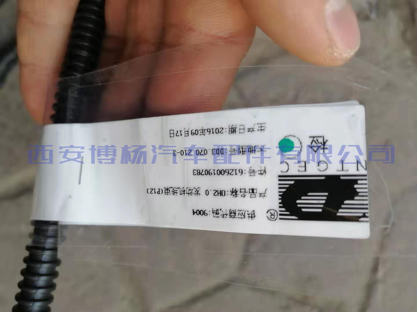 d4e2e138ad384bfb8e12824cc87028e 612600190783潍柴天然气WP12发动机线束总成
