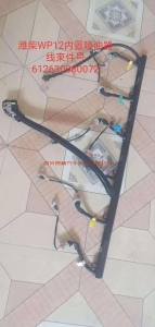 f60a533844e8631191eb0120b172e3b 612630080072潍柴WP12喷油器内置线束总成