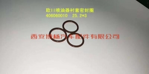 9eaae4683e4f1f84c929e78840e2b97 406060010潍柴WP615/10发动机喷油器衬套O型圈
