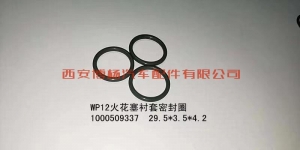 a045405a7c816dc0641288fbeaac321 1000509337潍柴WP10/WP12火花塞衬套O型圈