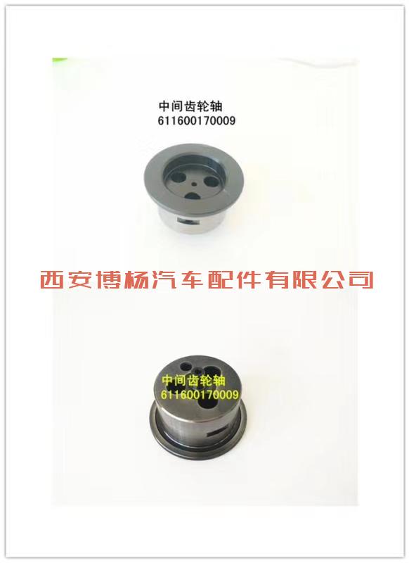 611600170009潍柴WP10H/9H中间齿轮轴