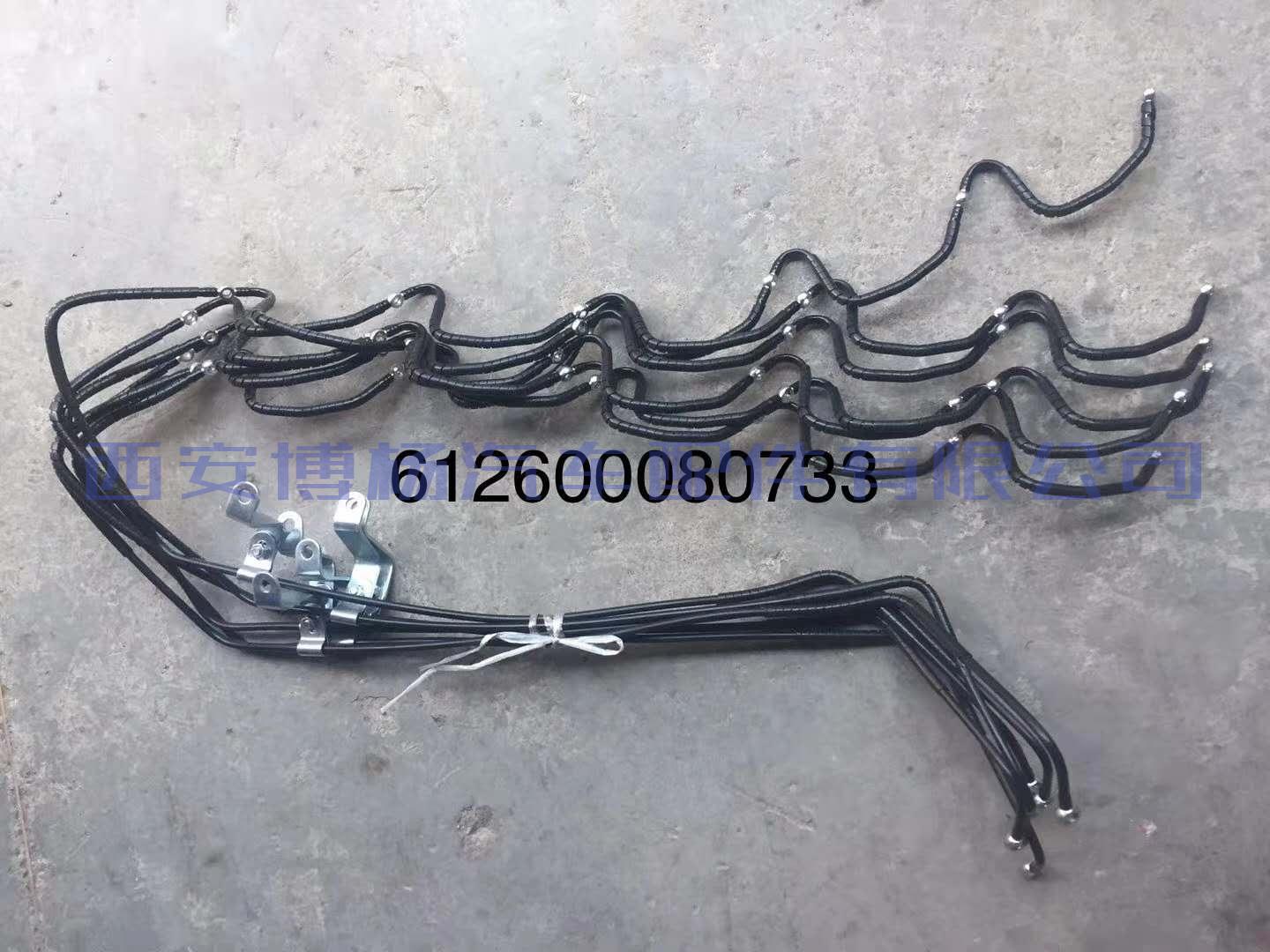 2884abfa6a9606154dc7640bd51c2ec 612600080733潍柴WD618.42D发动机喷油器回油管总成