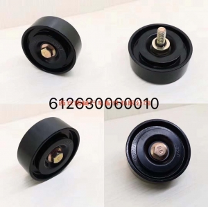 97815b37008594b4114e9ed73bc5c92 612630060010潍柴WP12.375E40发动机惰轮