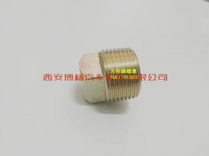 0cca5c50a8e52e4d48f440531da070e 90017010007潍柴WP12.375E40发动机水泵方头锥形螺塞
