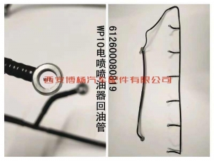 f8f30c5b3385ead2ae4029a2427890d 612600080819潍柴WP10.310E40喷油器回油管总成