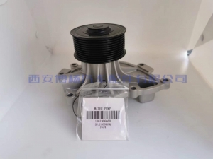 d4233e2a9e29d6a04c49be2d9deb667 1001996660潍柴WP8水泵总成