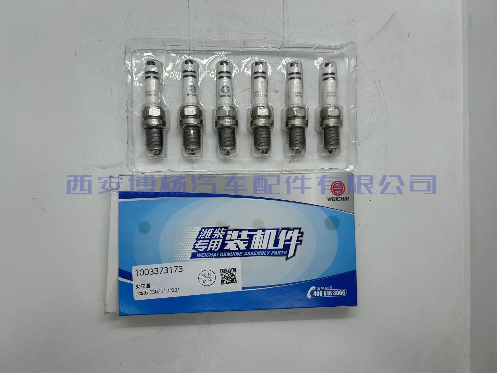 1003373173潍柴天然气国六火花塞