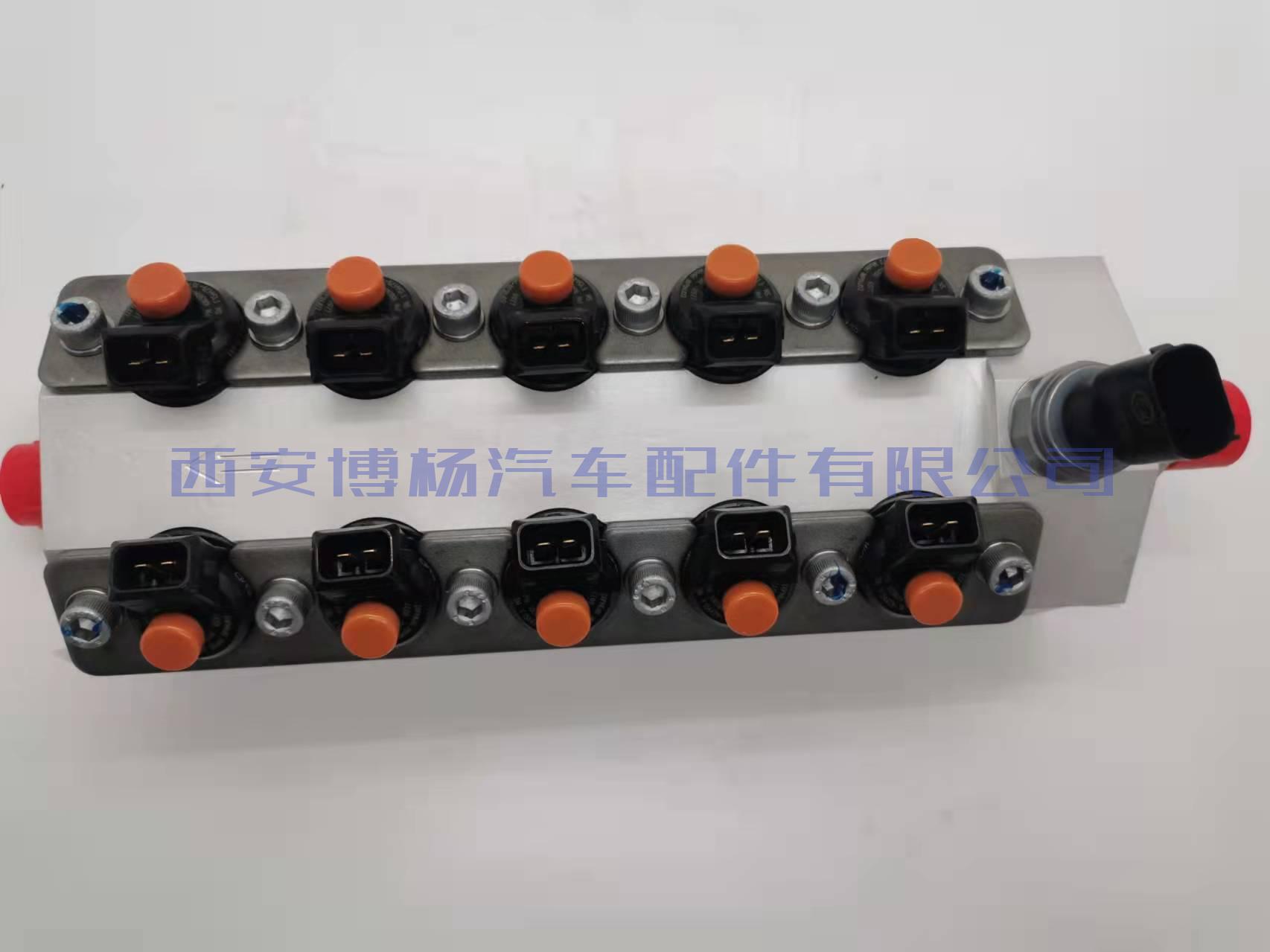 1003650716潍柴国六喷射阀总成