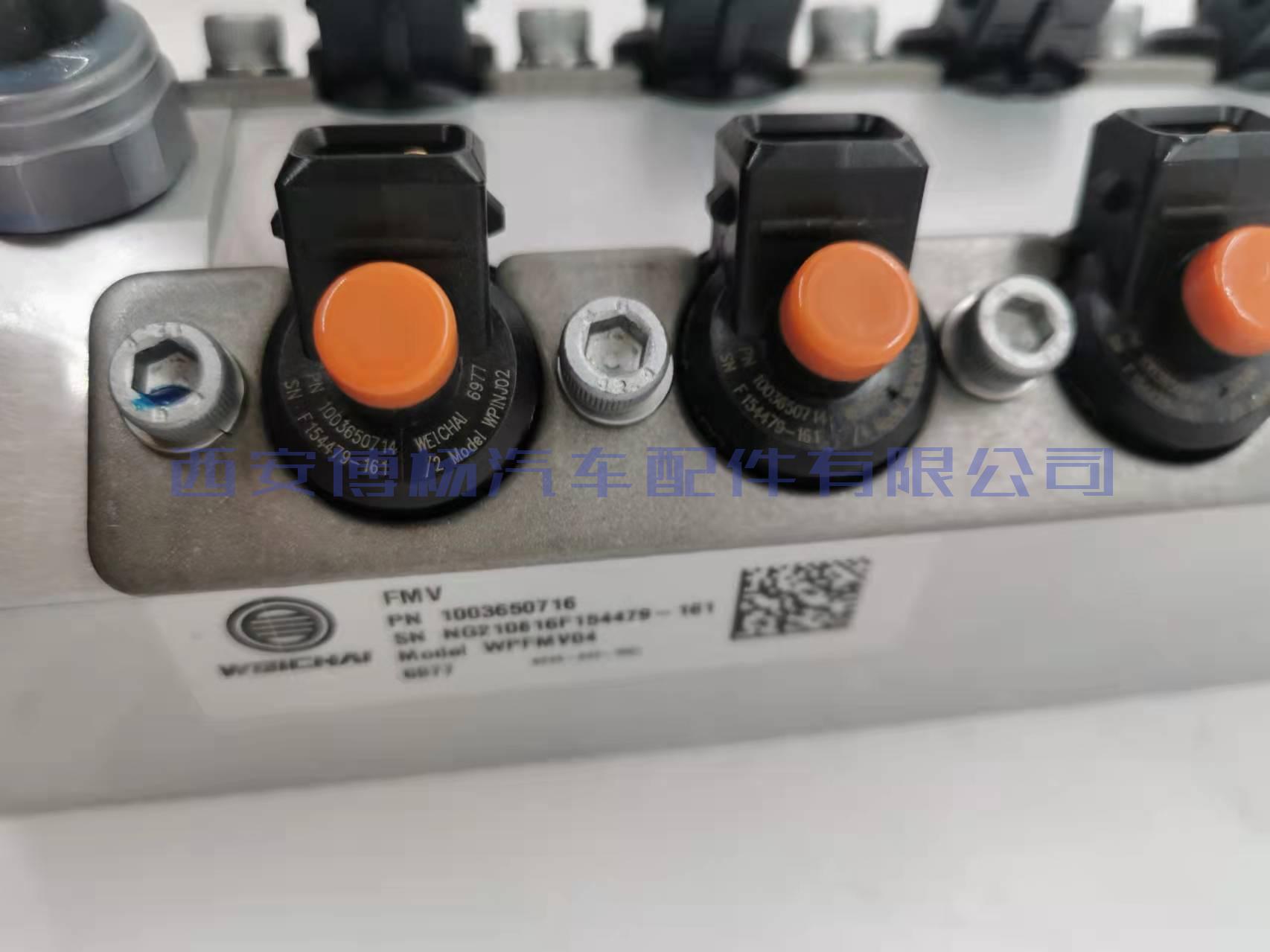 1003650716潍柴国六喷射阀总成