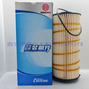 1002070370 适用潍柴15NG机油滤清器滤芯